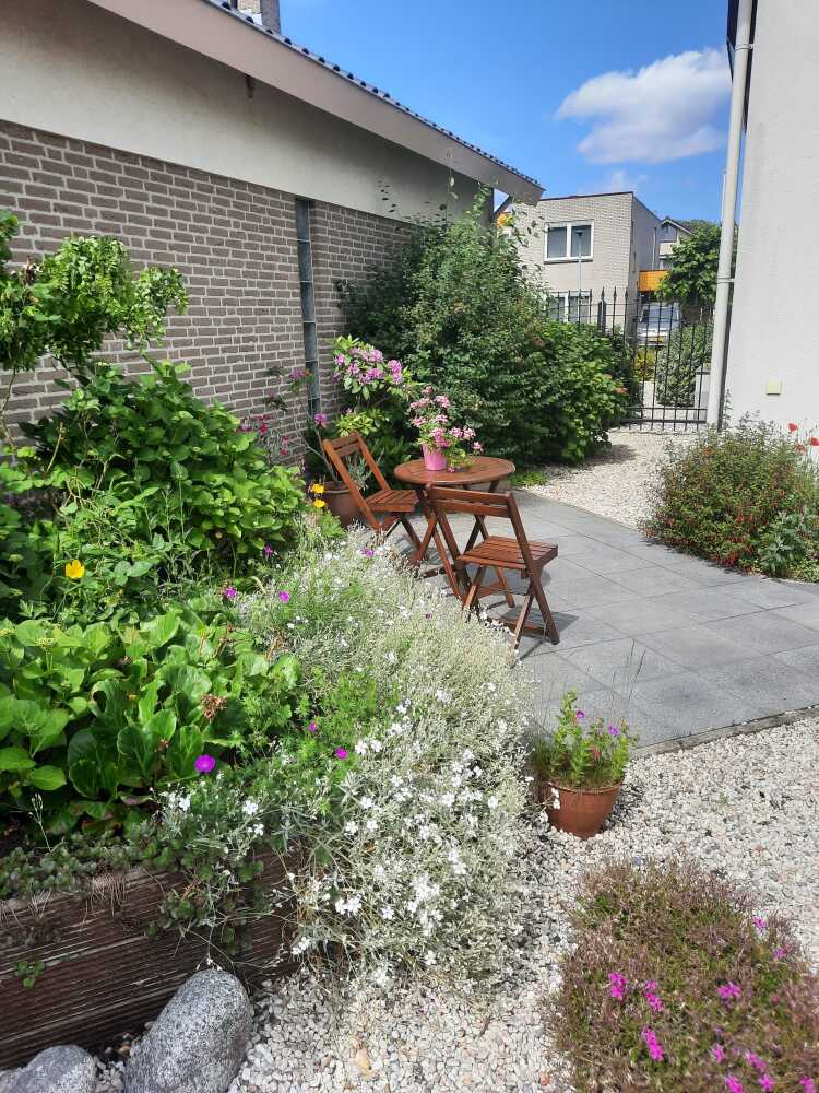 Foto 16 1000w