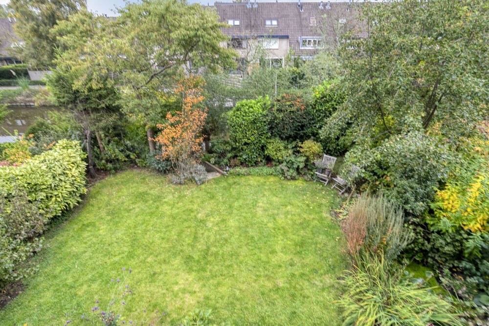 Foto 24 1000w