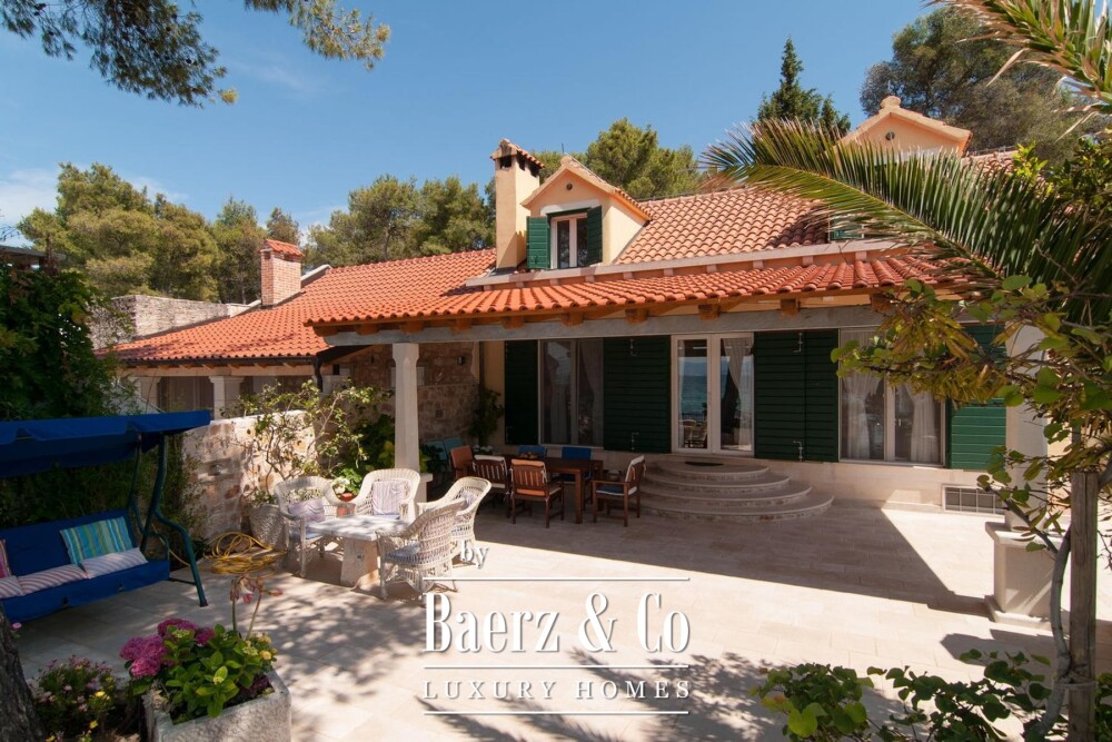 Foto 2 1000w