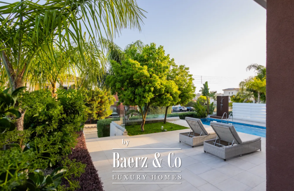 Foto 2 1000w