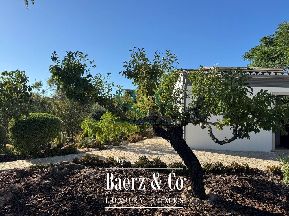 Foto 26 1000w