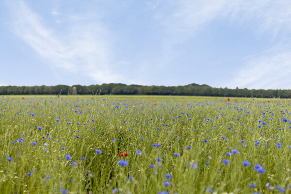photo 32 Diepenheimseweg 25 a