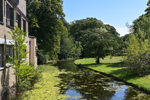 photo 44 1e Sweelinckstraat 6