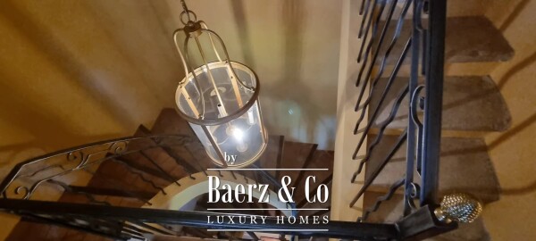 photo 10 Estate - over 6 ha of land with olive trees