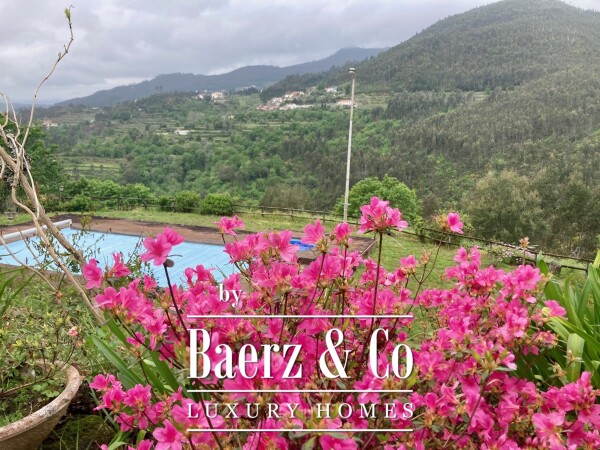 photo 1 Wonderful farm near the Vouga River