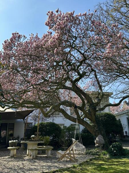 photo 73 Dorpsstraat 12