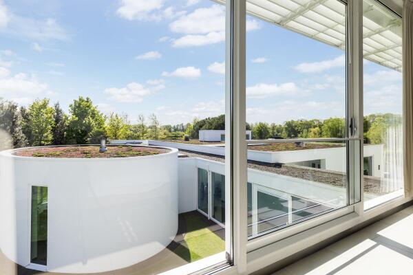 photo 54 Waterlelie 15