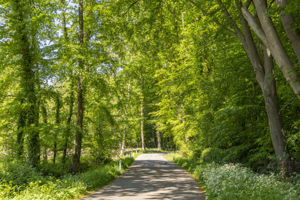 photo 10 Kleine Linderesweg 50