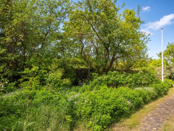 photo 44 Elzenlaan 30