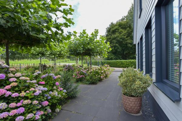 photo 46 Legmeerdijk 342