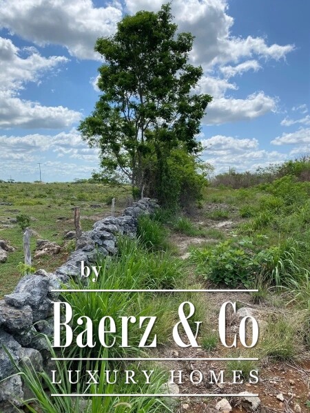 photo 11 Street 24 x 29 