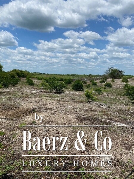 photo 22 Street 24 x 29 