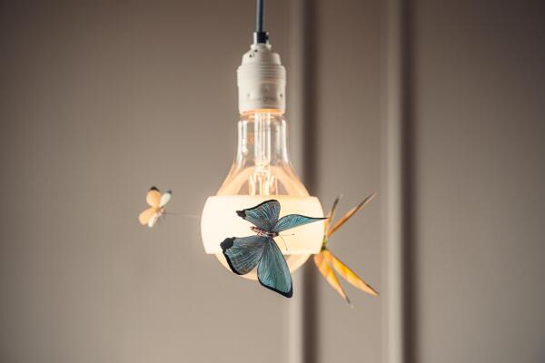 photo 6 Keizersgracht 698 E