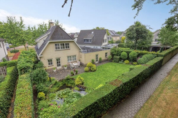 photo 1 Bilzekruid 11