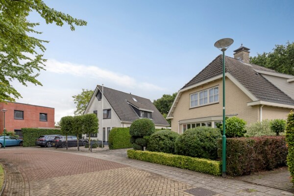 photo 56 Bilzekruid 11