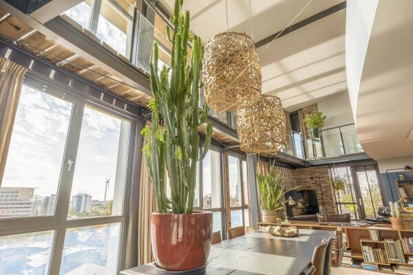 photo 20 Solisplein 61