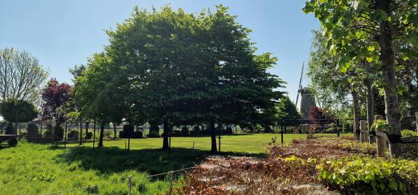 photo 6 Akkerstraat 5 a