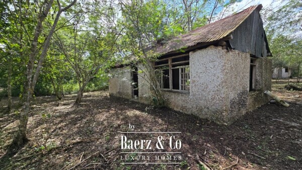 photo 7 Sagrado - Valladolid 