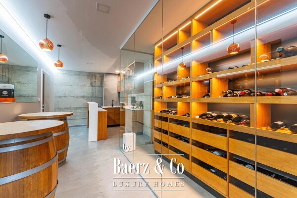 photo 17 Gornji Mihaljevec, Vukanovec, luxury villa on a large estate.