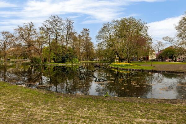 photo 47 van Bergen IJzendoornpark 19