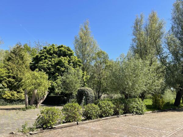 photo 21 's-Gravenweg 178