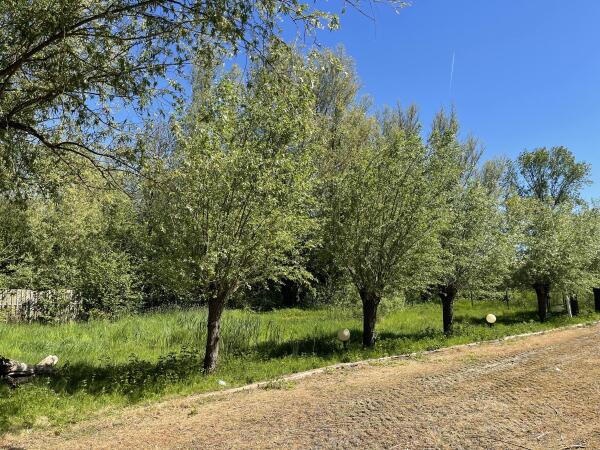 photo 22 's-Gravenweg 178