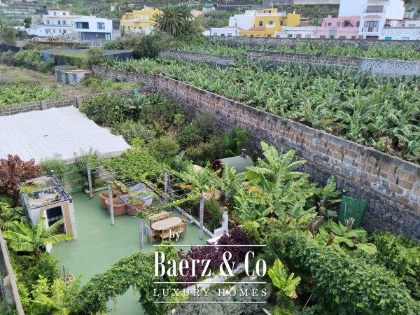 photo 45 Investment Finca with VV License and 3 Rental Units in Garachico, Tenerife
