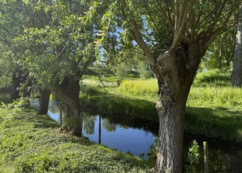 ROTTERDAM